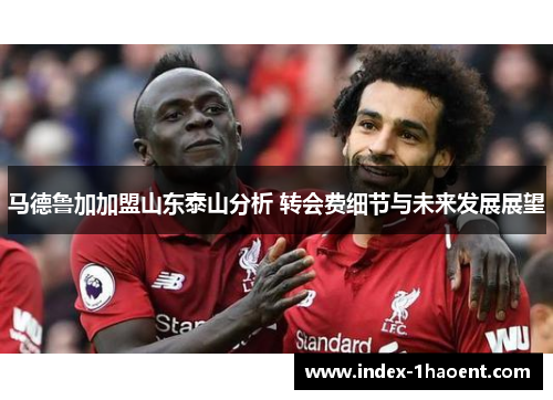 马德鲁加加盟山东泰山分析 转会费细节与未来发展展望